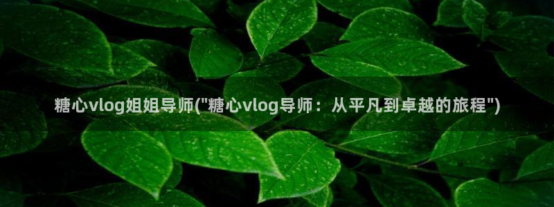 糖心vlog芭芭拉：糖心vlog姐姐导师(\