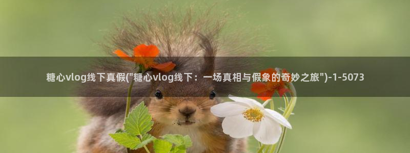 糖心vlog苏苏：糖心vlog线下真假(\