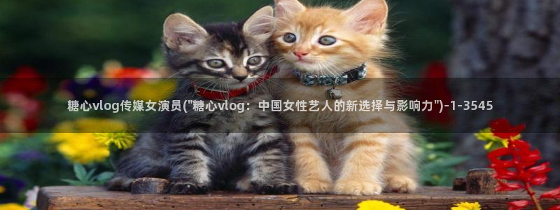 都源于糖心vlog：糖心vlog传媒女演员(\