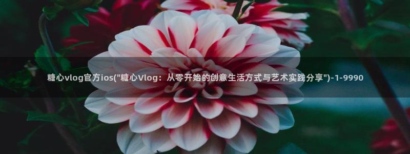 糖心vlog 视频：糖心vlog官方ios(\