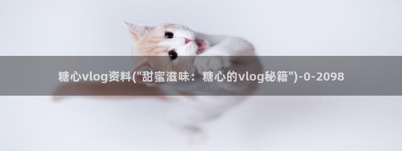 糖心Vlog cos蕾