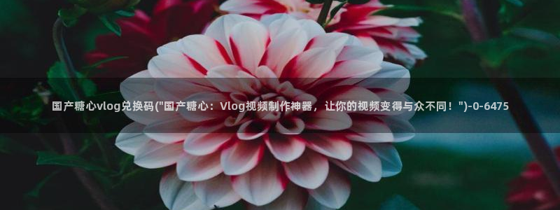 糖心vlog最污：国产糖心vlog兑换码(\