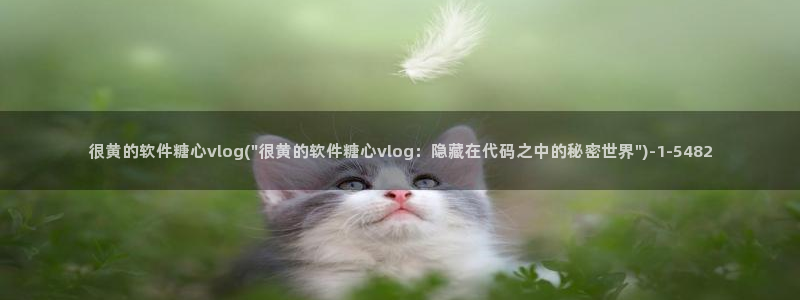 糖心vlog姐姐导师：很黄的软件糖心vlog(\